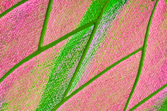 Abstract painted background with pink and green pattern
