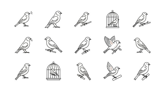 Line art bird illustrations collection for various design projects