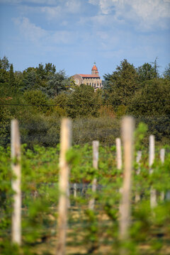 Eauze vue depuis les vignes d'Armagnac, Gers