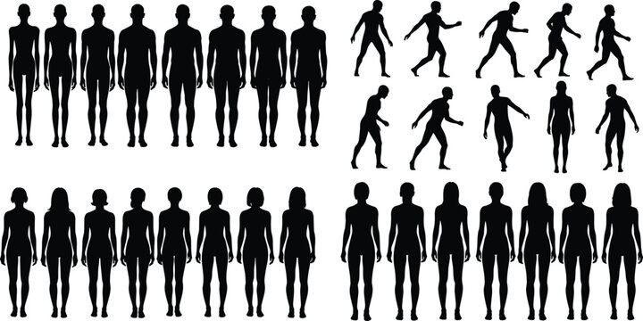 Human body silhouettes collection featuring male and female figures front view walking poses isolated on white background anatomy reference vector set