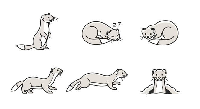 Cartoon weasel illustrations various poses and actions for design projects