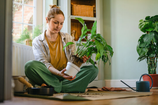 Woman repotting a houseplant on the floor indoors