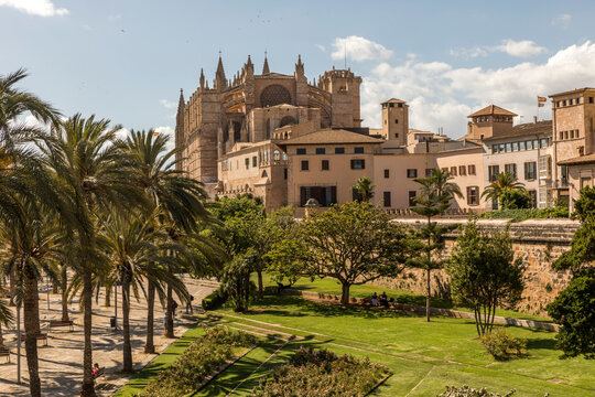Spain, Balearic Islands, Palma, Palm trees in front of Palma Cathedral in summer