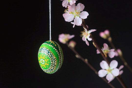 Hanging painted green Easter egg with pink tree blossoms on black