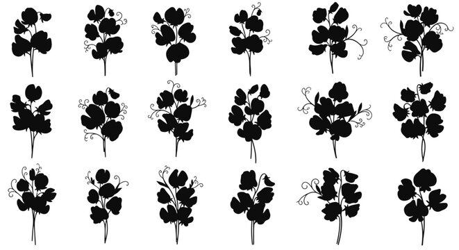 Black clover silhouettes on white background lucky four leaf clovers illustration