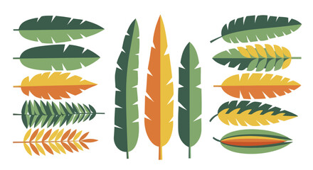 Collection of Tropical Leaves in Various Colors and Shapes. © Enggal