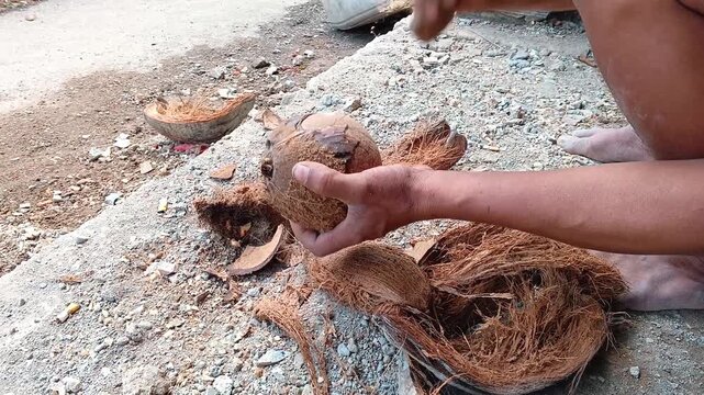 Detailed view of a worker's hands peeling coconut shell manually. Hardworking labor in small scale agricultural industry. Professional traditional food production process.