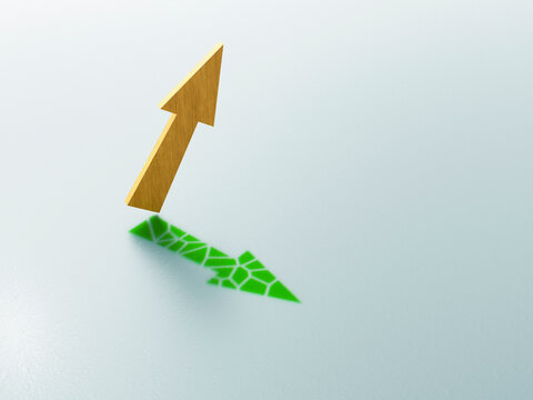 Wooden arrow pointing up with a pixelated green shadow pointing down