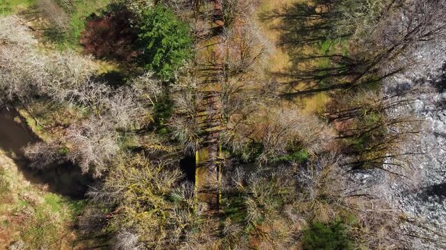 Wooden Bridge Crossing The Sol Duc River In Olympic National Park, Washington, USA. Aerial Shot