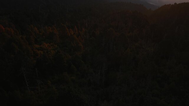 Drone rises from dark forest to bright clouds and sun above Nevado de Colima mountain ridges