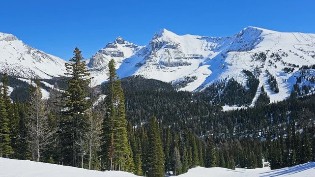 Banff National Park winter landscape with snow-covered ski runs, dense pine forest, dramatic Canadian Rockies peaks, and clear blue sky.