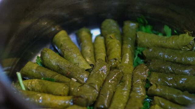 Close-up of stuffed grape leaves being arranged in a pot before cooking, showing traditional Turkish cuisine preparation, careful placement, and hygienic kitchen process.