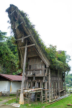 Traditional Tongkonan Toraja house, Sulawesi, Indonesia