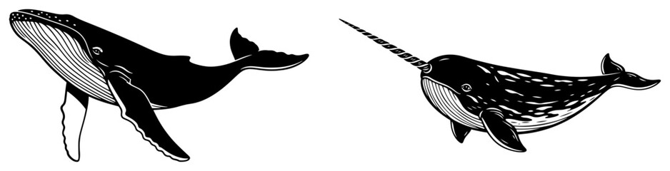Humpback whale and narwhal silhouette set, marine mammals icons for ocean life and nature design © Luka