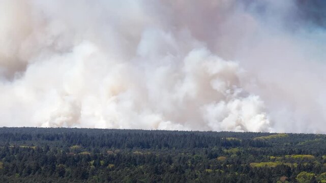 Wildfire in the Veluwe nature reserve with thick smoke rising up over the trees in Gelderland The Netherlands seen from above.