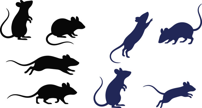 Rat silhouette vector set with different poses isolated rodents black minimal animal icon collection