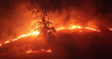 Fototapeta premium Forest wildfire at night, bright orange flames and heavy smoke consuming trees and landscape, dramatic aerial view highlighting environmental destruction and climate crisis. Aerial drone panorama