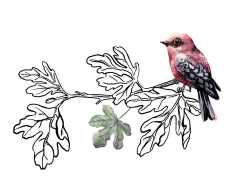 Watercolor finch. A delicate bird perched on a fig branch. The harmony of nature in art.