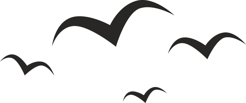 hand drawn seagull