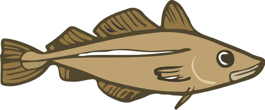 hand drawn codfish