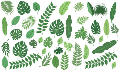 Naklejka premium Tropical leaves pattern a vibrant collection of green foliage and silhouette details