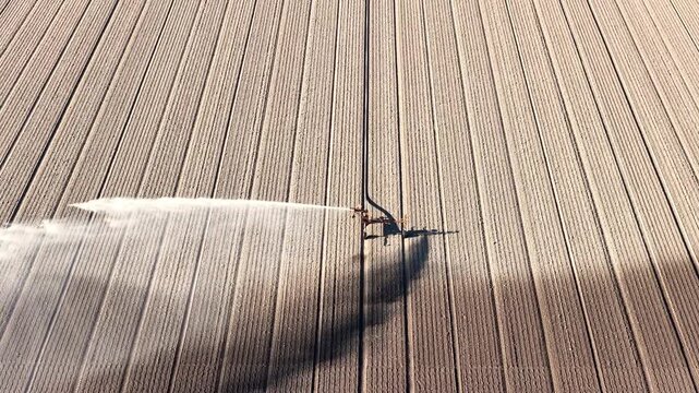 Agricultural irrigation pivot gun spraying water on a field of tulips during springtime aerial footage.