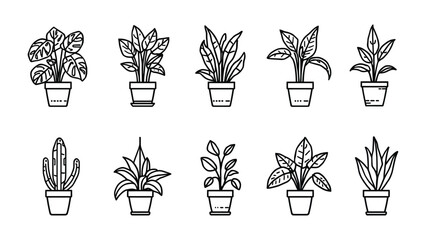 Obraz premium Botanical Assortment: A detailed line drawing showcases a variety of potted houseplants, each with unique leaf shapes and textures, presented in an organized, artistic composition.