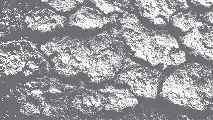 Obraz premium Black and white abstract texture featuring flowing vertical wave lines inspired by organic wood or bark patterns