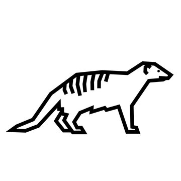 Mongoose