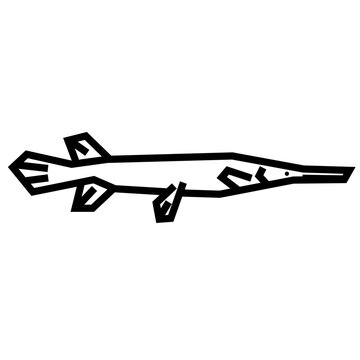 Gar