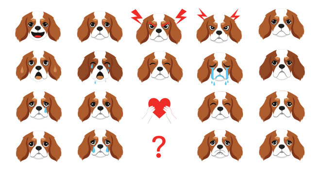 Extensive set of cavalier king charles spaniel dog heads depicts various emotions from joy and anger to sadness and love symbols.