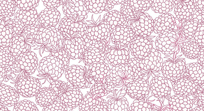 Seamless background with detailed pink and white line drawings of raspberries covering the entire frame for berry themed floral designs.