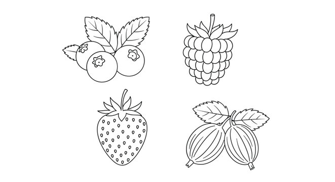 Line art coloring page of various berries like strawberries and raspberries for educational activities and creative hobby projects.