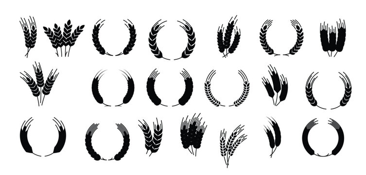 Set of laurel wreath cereal wheat ears and rye spikes