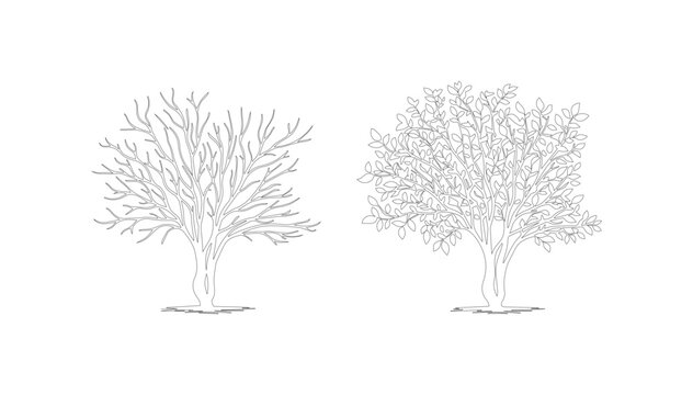 A black vector illustration of a set of bare trees and silhouettes represents a cold winter forest landscape, focusing on nature and wood growth throughout the changing seasons from autumn to spring