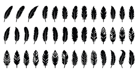 An isolated vector silhouette sheet featuring 30 distinct variations of a single feather .eps © MDSHAMSUDDIN
