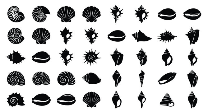 An isolated vector silhouette icon sheet with 40 unique variations of sea shells and conches .eps
