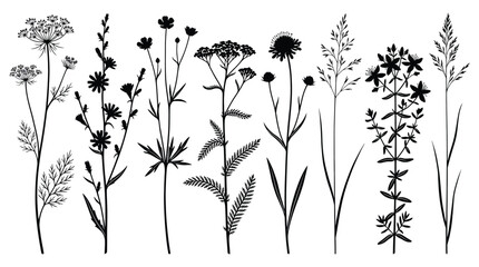 Set of wild meadow flowers and herbs silhouettes © Essential Design Lab