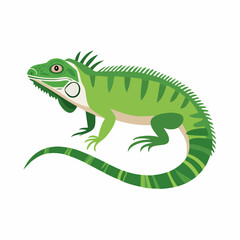 Obraz premium Green Iguana Illustration