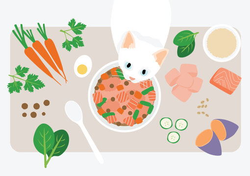White cat eating healthy homemade pet food with fresh natural ingredients
