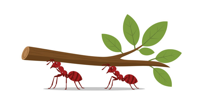 Two cartoon red ants work together to lift and transport a single wooden stick with attached green leaves across a plain light colored studio background setting.
