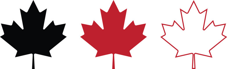 Fototapeta premium Maple Leaf vector