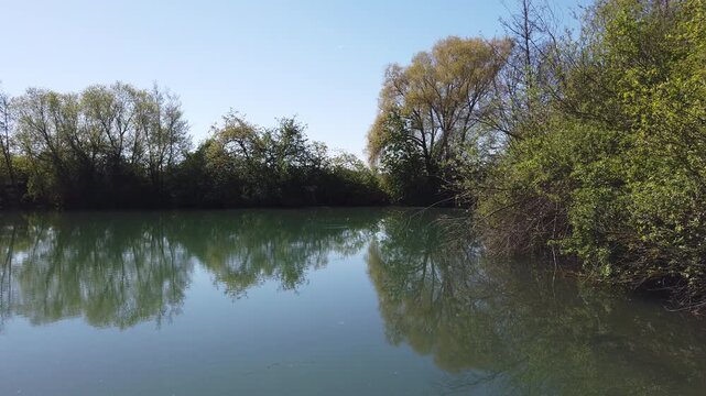 Pond in the morning sun in spring