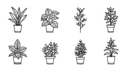 Monochrome Minimalism: Potted Plant Collection: A linear illustration of potted plants with leaves creates a visually striking contrast, set against a bright canvas. © abidakhatun
