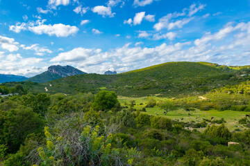 Fototapeta premium Panoramic view of Supramonte with lush green forest and meadow with horses on Sardinia Island, Italy
