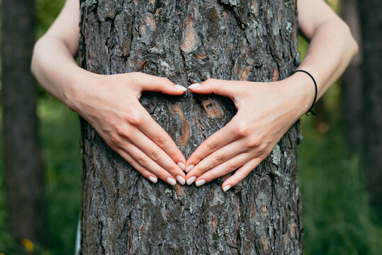 Two hands create a heart shape while resting against a tree trunk in a forest area. The scene highlights a connection between nature and human emotions in a lush green environment