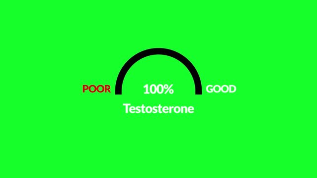 Testosterone level metering animation  in 4K animation Testosterone Level Meter, measuring scale. with alpha channel  Hormone Testosterone speedometer indicator in transparent background 