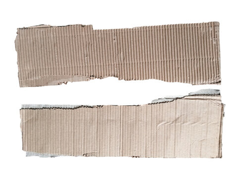 Close-up of rolled beige fabric or paper texture with subtle lines
