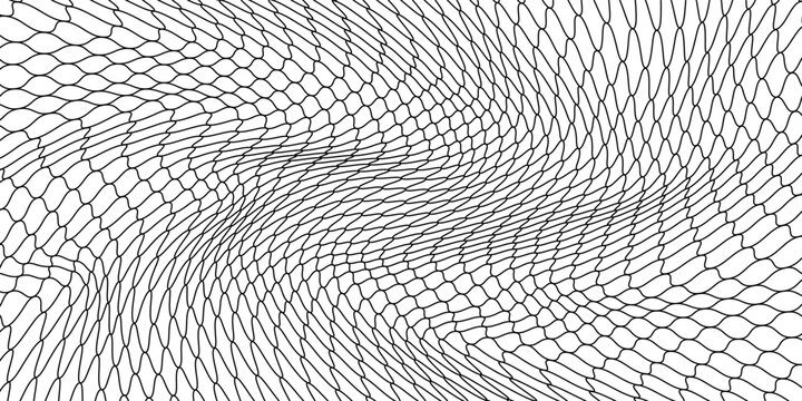 Net texture pattern on white background. Net texture pattern for backdrop and wallpaper. Realistic net pattern with black squares. Geometric background, vector illustration