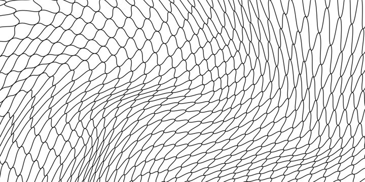 Net texture pattern on white background. Net texture pattern for backdrop and wallpaper. Realistic net pattern with black squares. Geometric background, vector illustration